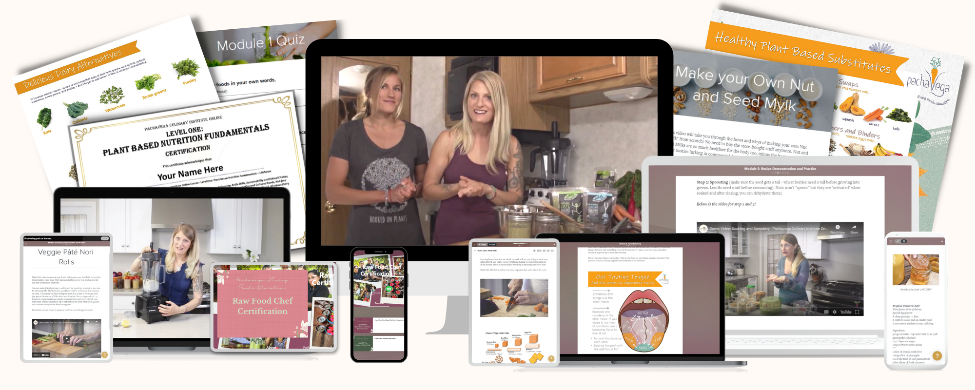 Online Raw Food Chef Certificate