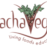 Pachavega School of Holistic Wellness