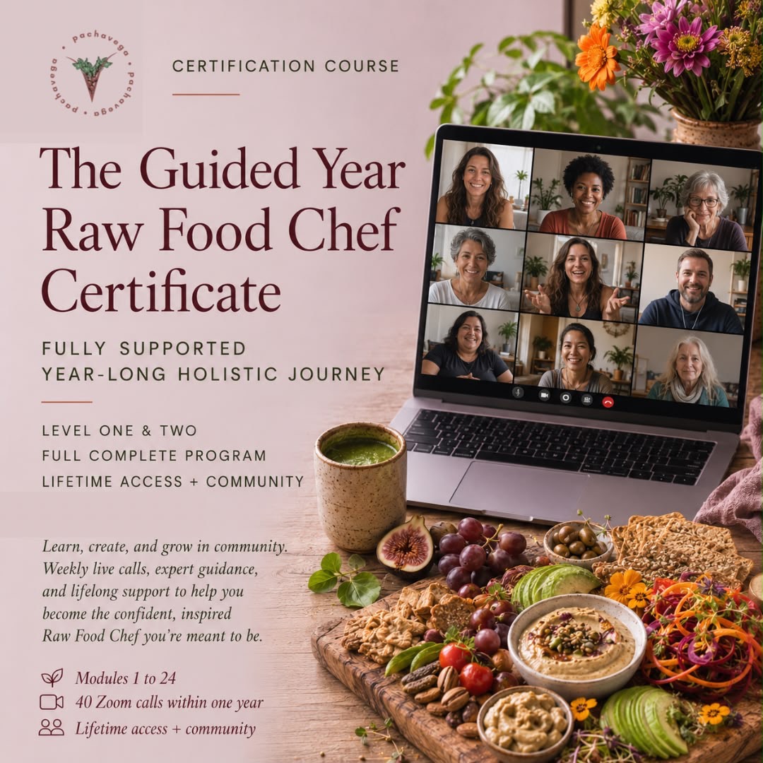 The Guided Year | Raw Food Chef Certificate | Fully Supported