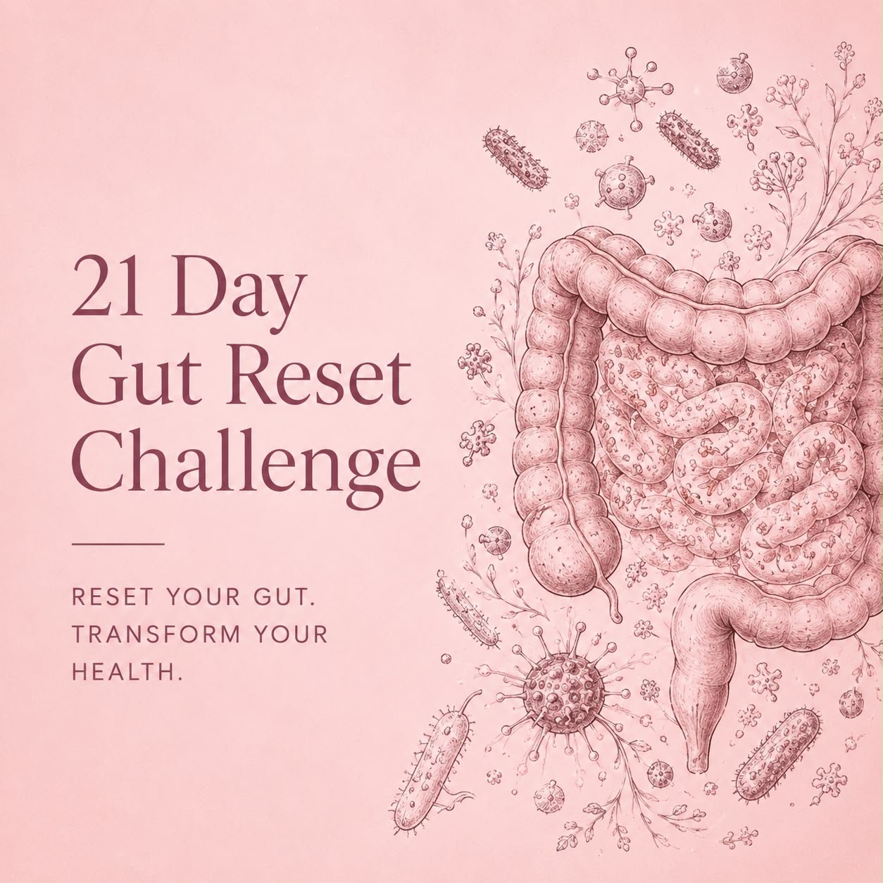 Gut Reset Challenge