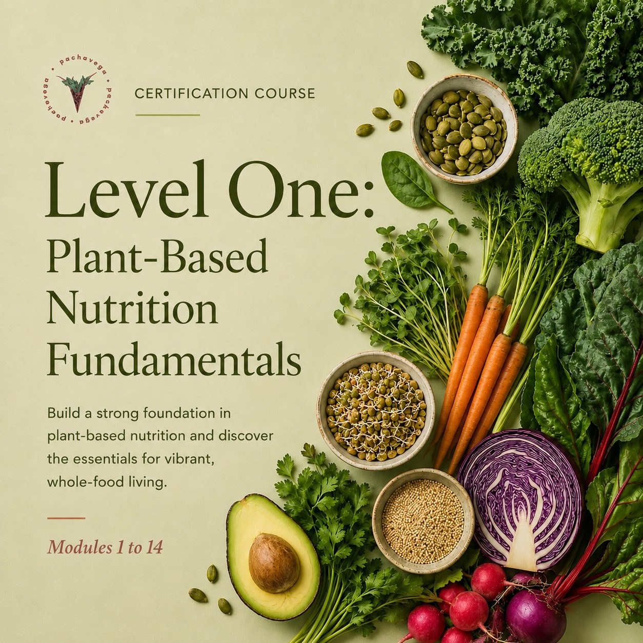 Level One: Plant-Based Nutrition Fundamentals