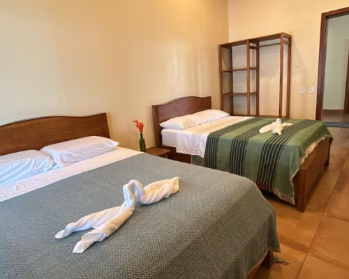 Heron House Shared Room